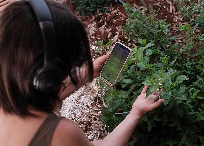 Masseria Iazzo Scagno